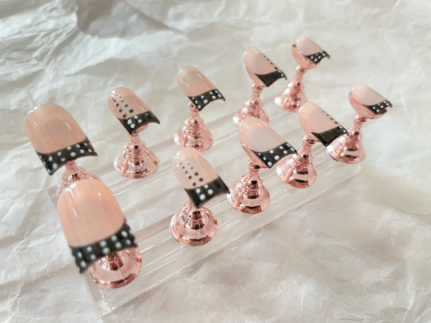 Domino Dotty