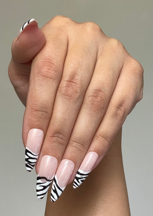 Zebra French